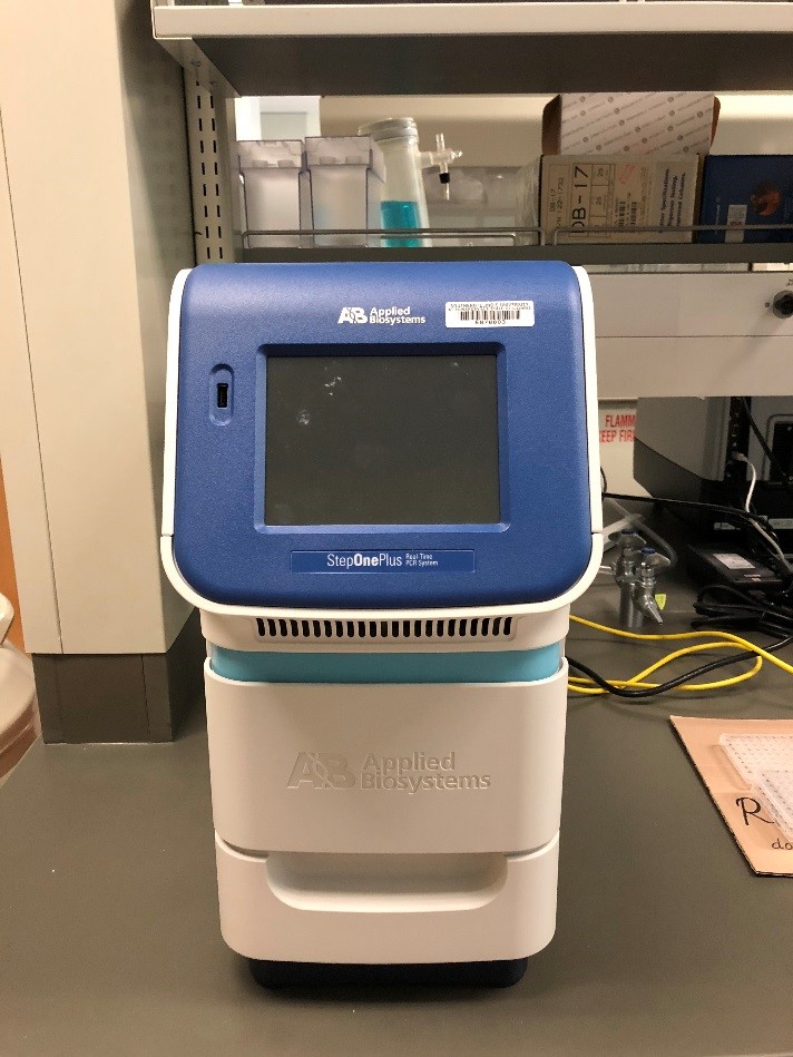 real-time PCR